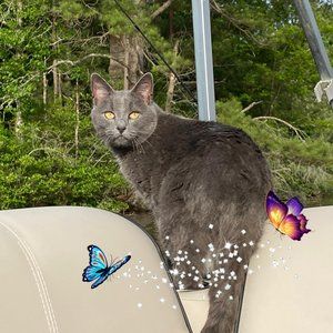 Meet your Posher, Amy